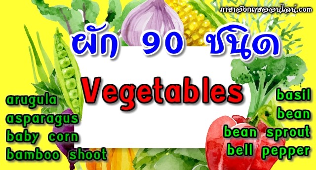 ผักภาษาอังกฤษมีอะไรบ้าง รายชื่อผักต่างๆ 90 กว่าชนิดทั้งไทยและเทศ คำอ่าน  คำแปล - ภาษาอังกฤษออนไลน์